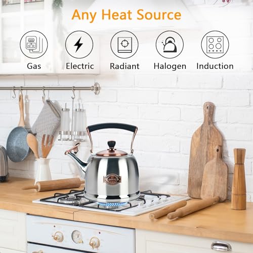 Tea Kettle Stainless Steel Teapot, Stainless Steel Teakettle for Stove Top with Heat Proof Ergonomic Handle 3.0 Quart - color: Silver, size: 3 Quarts