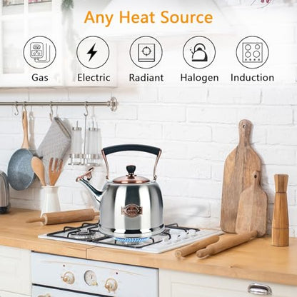 Tea Kettle Stainless Steel Teapot, Stainless Steel Teakettle for Stove Top with Heat Proof Ergonomic Handle 3.0 Quart - color: Silver, size: 3 Quarts