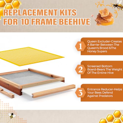 Beeveer 3 Pcs Beehive Parts Kit for 10 Frame Bee Hive, Beehive Screened Bottom Board with Entrance Reducer and Plastic Queen Excluder for Beekeeping Supplies(Yellow) - color: Yellow
