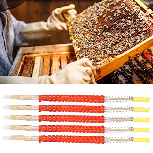25Pcs Beekeeping Moving Grafting Tools Shift Needle Beekeepers Equipment Beekeeping Larvae Feeding Utensils