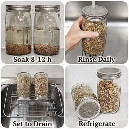 2 Pack ONE-PIECE 316 Surgical Stainless Steel Sprouting Lids for Wide Mouth Mason Jar (Ball Kerr) - One-Piece- Strainer Mesh Lids - Rust-Proof - size: 2 Count (For Wide Mouth Jars 3 3⁄8" Outer ∅)