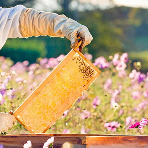 Stoney Acres Beekeeping Beehive Box, 8 Frame Medium Assembled Super or Brood Honeybee Hive Box with Beeswax Foundation Frames, Amish Made