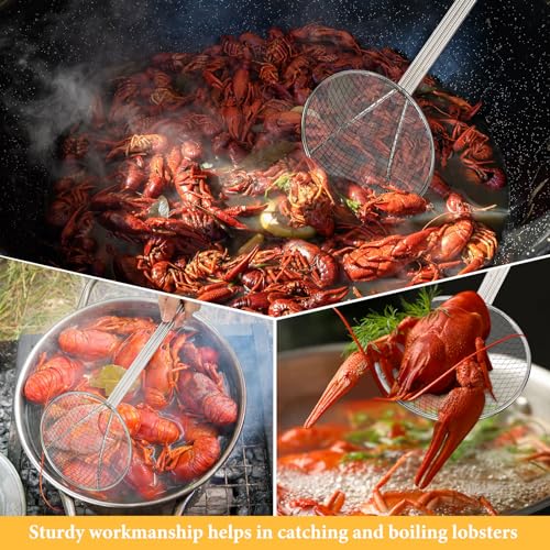 Baderke 2 Pcs 16 Inch Stainless Steel Skimmer Round Plated Wire Strainer Fryer Spoon Mesh Stirring with Long Handle for Kitchen Fried Food Cooking Straining Frying - size: 16 Inch