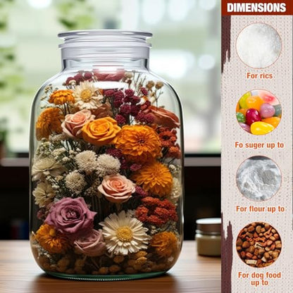 Maxdot Large Glass Jar with Airlock Lid 6.6 Gallon Large Storage Glass Jars Wide Mouth Fermentation Jar with Ropes Fermentation Container Jug for Wine Making - size: 6.6 Gallon, style: Airlock Lid