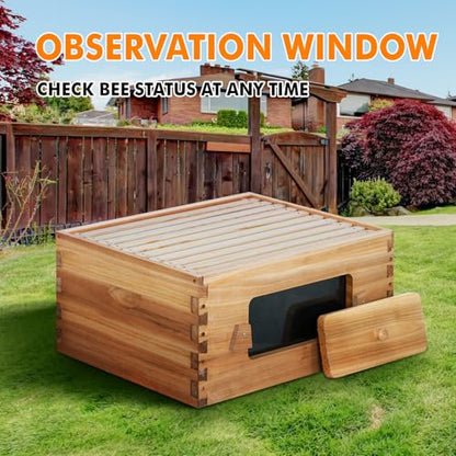 Honey Lake 10 Frame Beehive Deep Brood Box with Window, Langstroth Bee Hive Box Kit Dipped in Beeswax Include Wooden Frames & Waxed Foundations, Bee Boxes for Beekeeping Supplement (Unassembled) - size: 10-Frame
