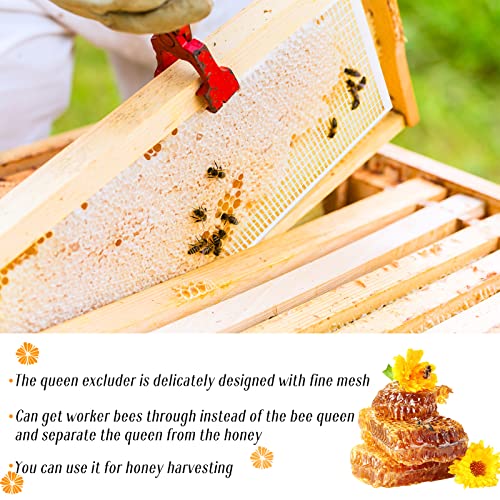 Rtteri 20 Packs 10 Frame Plastic Queen Excluder Beekeeping Queen Excluders Bee Supply Queen Excluder Fits 10 Frame Langstroth Beehives Beekeeping Supplies Kit Tools for All Beekeeping Levels (White) - color: White