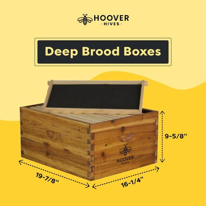 Hoover Hives: The Original Beeswax Coated Beehive Kit. Includes 2 Deep & 1 Medium Boxes with 10 Wooden Frames & Heavy Wax Coated Foundations. Easy Assembly with Predrilled Holes& Screws (Unassembled)