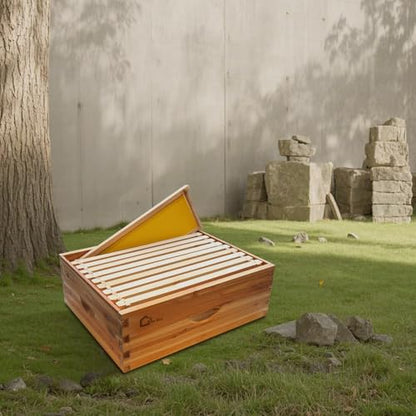 10 Frame Langstoth Medium Super Beehive Box, Honey Super Bee Box Dipped in 100% Beeswax, Wax Coated Bee Hive with Frames and Foundations Sheets for Beekeeping Supplement - style: without Window