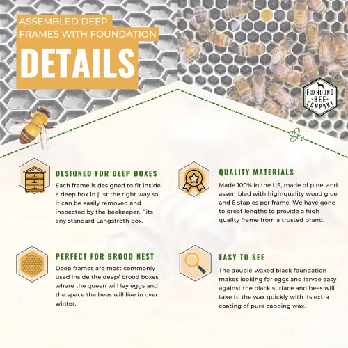 Foxhound Bee Company - Made in USA - Fully Assembled Deep Beekeeping Frames with Double Wax Beeswax Coated Plastic Foundation - 20 Pack - style: Deep - 20 pack