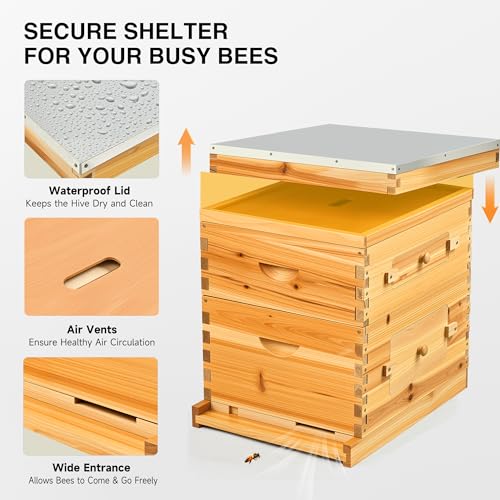 CREWORKS 20 Frame Bee Hive, Beeswax Coated Beehive Kit with Medium & Deep Boxes, Langstroth Bee Hive Boxes Starter Kit, Bees Hives Box with Transparent Acrylic Window - style: 2 Layers