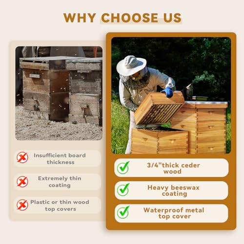 POLLIBEE 10 Frame Langstroth Beehive Beeswax Coated Complete Bee Hives Includes Bee Frames and Waxed Foundations (2 Deep Boxes & 2 Medium Boxes) - size: 4-Layer
