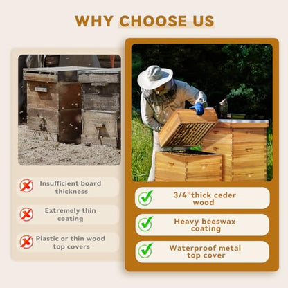POLLIBEE 10 Frame Langstroth Beehive Beeswax Coated Complete Bee Hives Includes Bee Frames and Waxed Foundations (2 Deep Boxes & 2 Medium Boxes) - size: 4-Layer