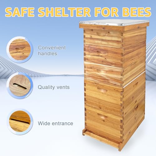 5-Layer Langstroth Bee Hive Kit, 100% Beeswax Coated Wood Beehive Includes 2 Deep Breeding Boxes and 3 Medium Super Boxes, 10-Frame Standard Bee House with Metal Top Cover, No Frames - size: 5 layer