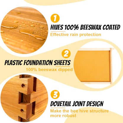 Honey Lake 10 Frame Medium Super Bee Hive Box, Langstroth Beehive Super Honey Bee Box Dipped in Beeswax Include Beehive Frames and Waxed Foundations for Beginners Beekeepers (Unassembled) - size: 10-Frame Medium