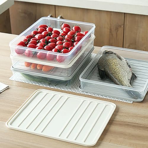 Plastic Airtight Dumpling Storage Box with Lid - Multiuse Cookie & Kimchi Container for Freezer/Refrigerator, Space-Saving White Rectangular Design