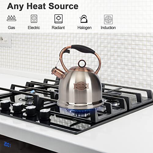 Whistling Stovetop Tea Kettle Food Grade Stainless Steel, Hot Water Fast to Boil for Stove Top-3.0Q - color: Silver-RW