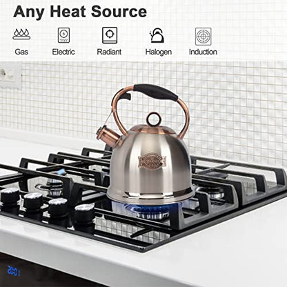 Whistling Stovetop Tea Kettle Food Grade Stainless Steel, Hot Water Fast to Boil for Stove Top-3.0Q - color: Silver-RW