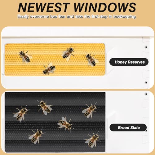 Hand-Painted 8-Frame Beehive with Windows - 2 Deep Brood Boxes & 1 Medium Super Box, Includes Frames & Foundations