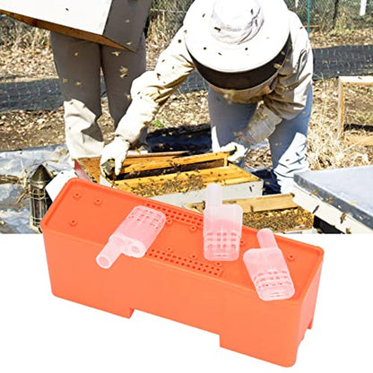 20Pcs Beekeeping Rearing Cup Kit, Plastic Apis Queen Cages Transporting Catcher Insectary Box Beekeeper Equipment Tool, Easy to Install and Clean for Professional and Amateur Beekeepers