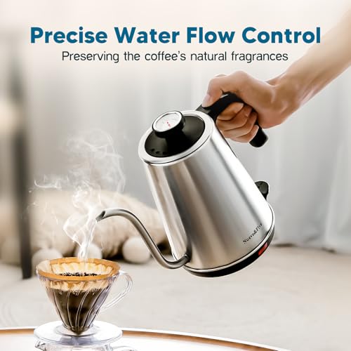 Nueve&Five Electric Gooseneck Kettle with Thermometer, 1.0L Pour Over Hot Water Kettle for Coffee and Tea, 1000W, Auto Shutoff, Boil-Dry Protection,Stainless Steel - color: Stainless Steel
