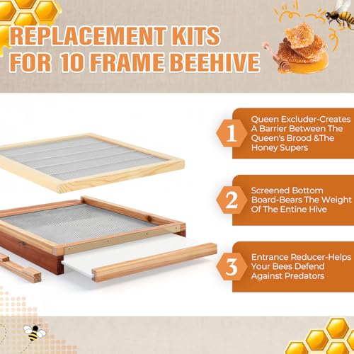 Beeveer 3 Pcs Beehive Screened Bottom Board with Entrance Reducer and Wooden Frame Metal Queen Excluder for Langstroth 10 Frame Bee Hive Bee Beekeeping Supplies - style: Wooden Frame