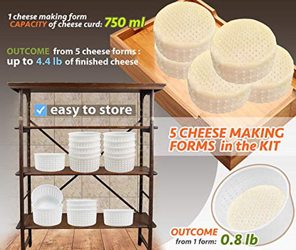 PetriStor 5 pcs Soft Cheese Mold for Cheese Making 0.8QT - Small Cheese Molds - Homemade Cheese Making Supplies - Cream Cheese Form Mold - Moldes Para Queso Fresco Casero - Feta Cheese Making Basket