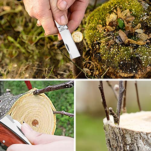 Garden Grafting Tool Kit for Fruit Trees, Includes Grafting Knife, Grafting Tape, Plant Twist Ties for Propagation
