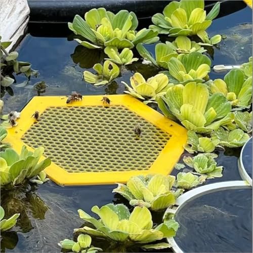 4pcs Anti-Drowning Bee Waterer Hexagonal Acrylic Tray with Lure Cups for Beehive Hydration | Yellow - color: Yellow