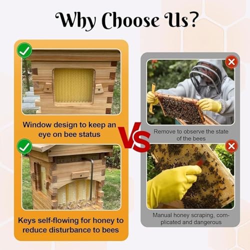 Beehive Starter Kit, Complete Bee Box with Observation Window & Honey Spout,Beekeeping Supplies, Self-Flow Hive Beehive Starter Kit, for Beekeeping Includes Carpenter Bee House