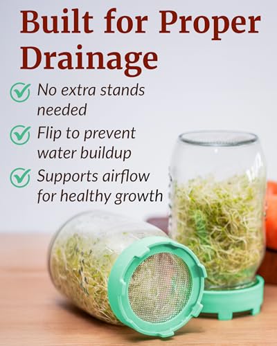 Elementi Sprouts Growing Kit for Wide Mouth Mason Jars, Set of 2 Sprouting Lids for Organic Alfalfa & Mung Bean Sprouts Grow Kit, 316 Stainless Steel Mesh Screen Strainer Lid (Sage Green) - color: Sage Green