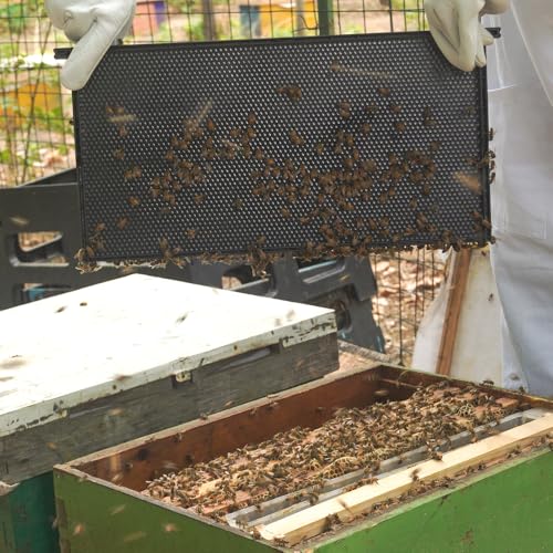 10 Pack Plastic Beekeeping Frames with Beeswax-Coated Foundation, All-in-One Deep Beehive Frames for Langstroth Hive Brood Boxes, for Backyard or Apiary Commercial Beekeepers, Black, 9-1/8 Inches - size: 10 Pack