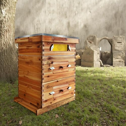 10-Frame Complete Bee Hives and Supplies Starter Kit Dipped in 100% Beeswax, Includes 2 Deep Hive Bee Box and 1 Bee Hive Super with Acrylic Window, Beehive Frames and Foundation for Beekeepers