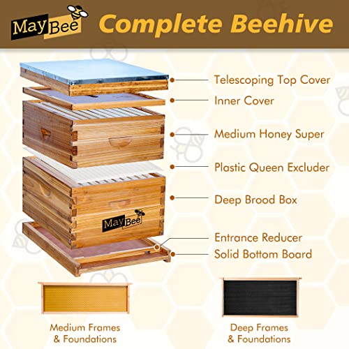 Beehive 10 Frame Bee Hives and Supplies Starter Kit, Bee Hive for Beginner, Honey Bee Hives Includes 1 Deep Brood Hive Box, 1 Bee Hive Super Box with Beehive Frames and Foundations