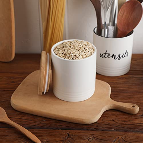 LEETOYI Ceramic Food Storage Jar with Seal Lid, Serving for Ground Coffee, Tea, Sugar, Salt and More - 31 Oz (White) - color: White