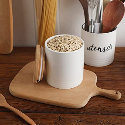LEETOYI Ceramic Food Storage Jar with Seal Lid, Serving for Ground Coffee, Tea, Sugar, Salt and More - 31 Oz (White) - color: White