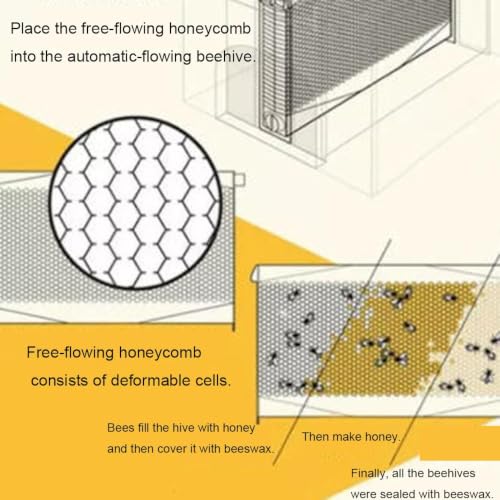 Self-Flow Honey Beehive Box, Natural Pine Wooden Beekeeping Hive Kit with Sloped Rainproof Roof, Reusable Honey Comb Frames for Backyard Beekeeping Supplies