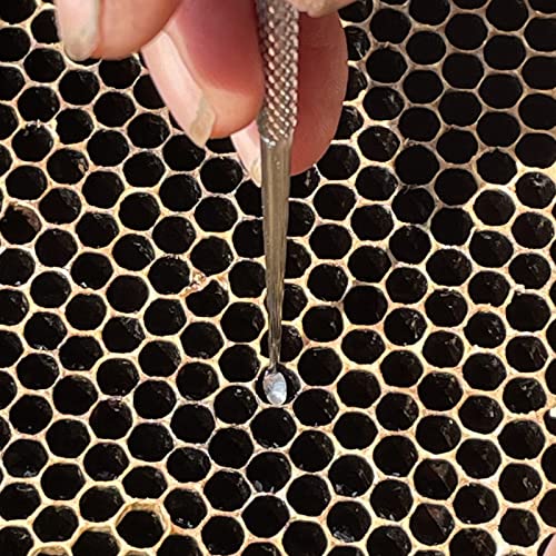 Queen Bee Grafting Tools - 2PCS, Stainless Steeel,Professional Beekeeping Tools Used for Queen Bee Grafting and Larva Transplanting.