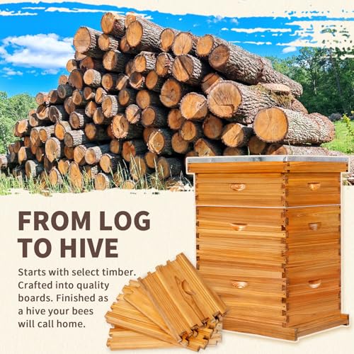 10-Frame Langstroth Bee Hive,3 Layers Beeswax Coated Beehive Kit Includes 2 Deep Brood Hive Boxes and 1 Medium Super Bee Box with Beehive Frames and Foundations - size: 3 Layers