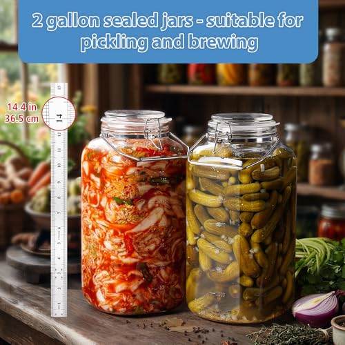 2 Gallon Glass Jar with Airtight Lid, 1 Pack Glass Storage Jars with Sturdy Stainless Steel Handle(256 FL Oz), Wide Mouth Jar, Flour Sugar Storage Containers for Rice, Cereals, Oats, Flour