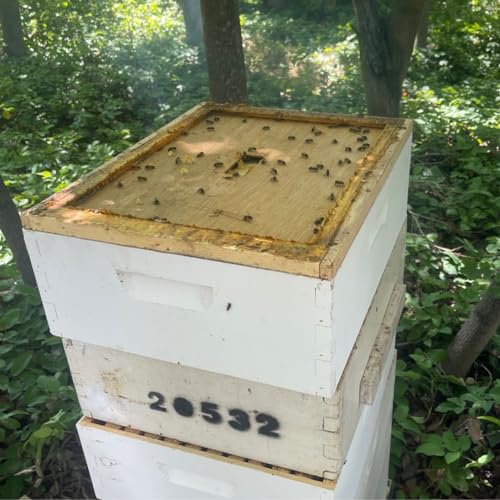 Harvest Lane Honey WWIC-101 Inner Beehive Cover