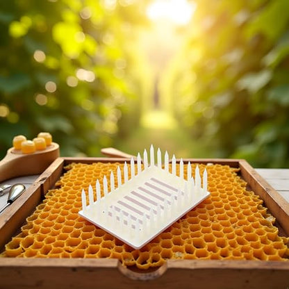 White Queen Marker Cage Clip Bee Plastic Catcher Beekeeper Beekeeping Tools Equipment Plastic Queen Marker Cage Clip Bee Catcher Beekeeper Beekeeping Tools Equipment Beekeeping Supplies