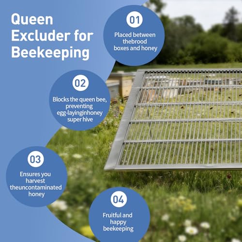 2Pcs Metal Queen Excluder for 10 Frame Hive,Metal Queen Bee Excluder,Queen Bee Frame,Metal Queen Bee Excluder,Beekeeping Equipment Metal (10 Frame -2pcs) - size: 10 Frame -2pcs