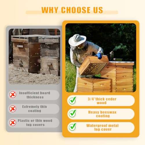 POLLIBEE 8 Frame Bee Hive Beeswax Coated Complete Bee Hives Includes Bee Frames and Waxed Foundations (2 Deep Boxes & 2 Medium Boxes) - size: 8 Frame-4L