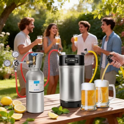 MRbrew 2 Pcs 2.5 gallon Ball Lock Kegs, Stainless Steel Corny Kegs with Dual Rubber Handles Stackable Design, Pressure Relief Valve 10L Cornelius Keg for Home Brewing