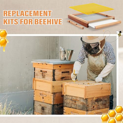 Beeveer 3 Pcs Beehive Parts Kit for 10 Frame Bee Hive, Beehive Screened Bottom Board with Entrance Reducer and Plastic Queen Excluder for Beekeeping Supplies(Yellow) - color: Yellow
