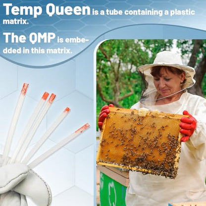 Temp Queen with QMP Queen Pheromone for Improve Queen Rearing Success, Temporary Queen Replacement, Ship Queenless Packages, Holding Queenless Splits and Nuclei, 5pcs