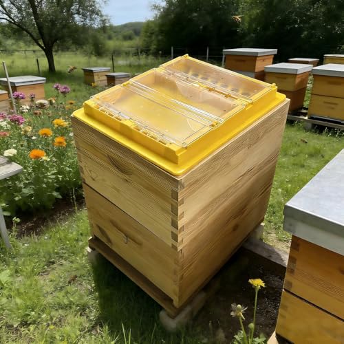 Bee Top Feeder for 10-Frame Beehive - Dry & Wet Separation Design, Hive Feeder Large Capacity Water/Pollen Slurry Feeder for Beekeeping 19.7X16.1inch | Dry & Wet Separation Design, Large Capacity, Water/Pollen Slurry Feeder, Beekeeping Supplies