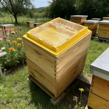 Bee Top Feeder for 10-Frame Beehive - Dry & Wet Separation Design, Hive Feeder Large Capacity Water/Pollen Slurry Feeder for Beekeeping 19.7X16.1inch | Dry & Wet Separation Design, Large Capacity, Water/Pollen Slurry Feeder, Beekeeping Supplies