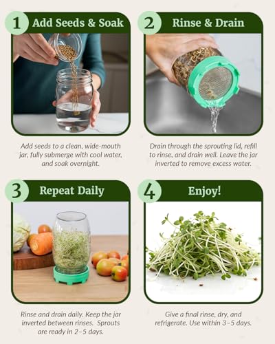 Elementi Sprouting Kit - Set of 2 Sprouting Lids for Wide Mouth Mason Jars, Sprouts Growing Kit for Bean Sprouts (Mushroom) - color: Mushroom