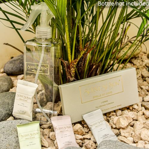 L'Ombre Luxury Scented Multi-Purpose Cleaning Tablets, 4 Count, Makes 4 x 16oz Bottles, Inspired By Iconic Perfumes